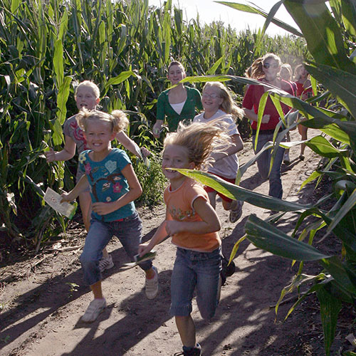 Explore our giant corn maze and corn maze games data-verified=