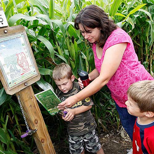 The World's Largest Corn Maze in Northern Illinois