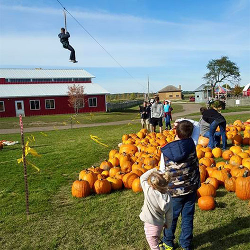 Our 100 foot zipline soars from our 40 foot observation tower just an hour north of Chicago!